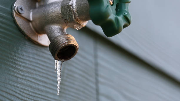 Best Drain Cleaning Services  in Senatobia, MS